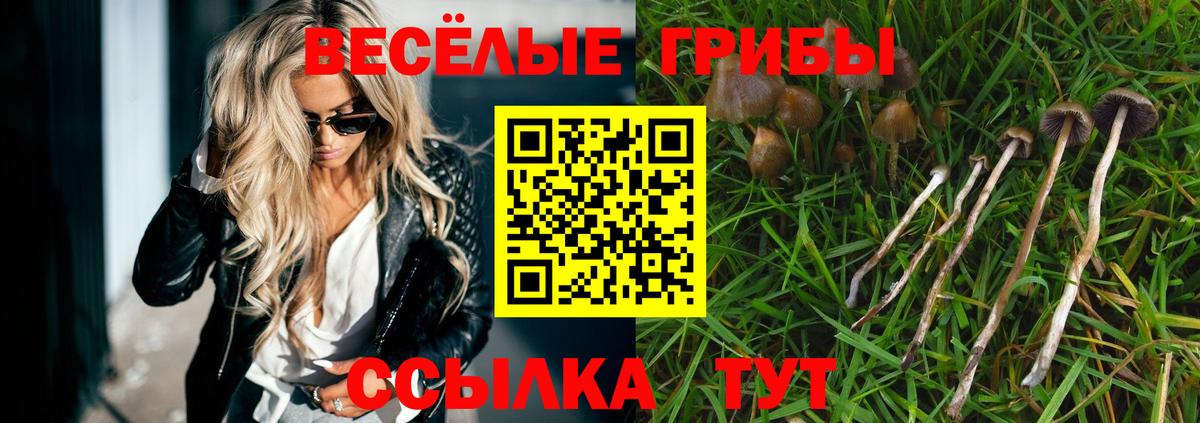 Сланцы  Галлюциногенные грибы мухоморы  Вход с VPN 