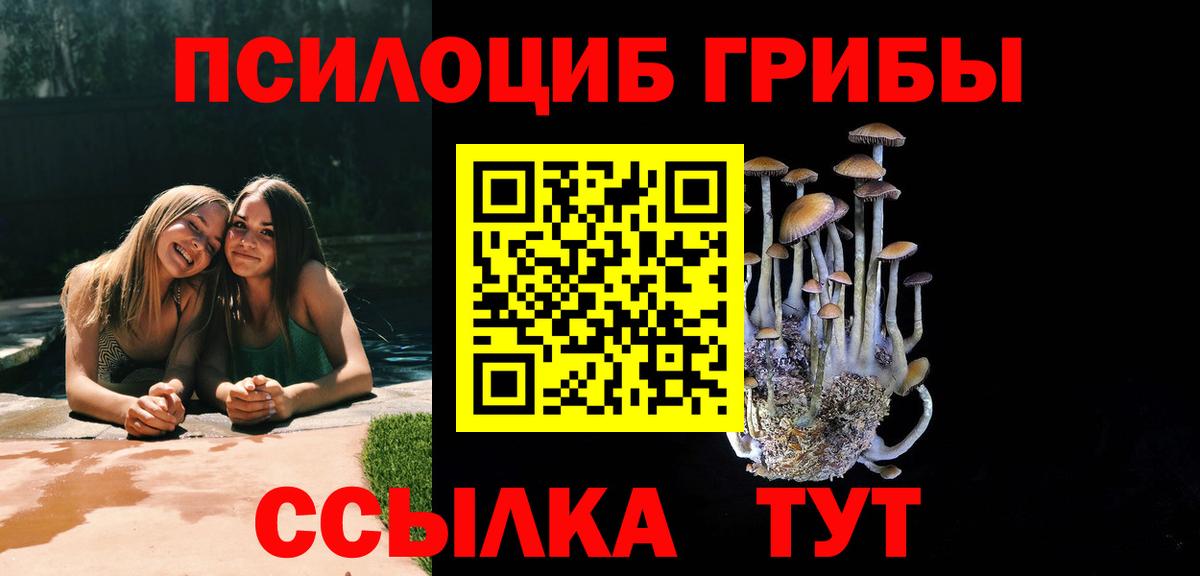 Галлюциногенные грибы мицелий Сланцы